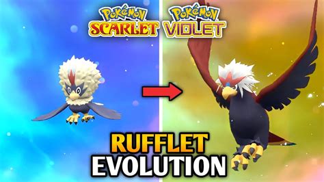 how do you evolve rufflet.